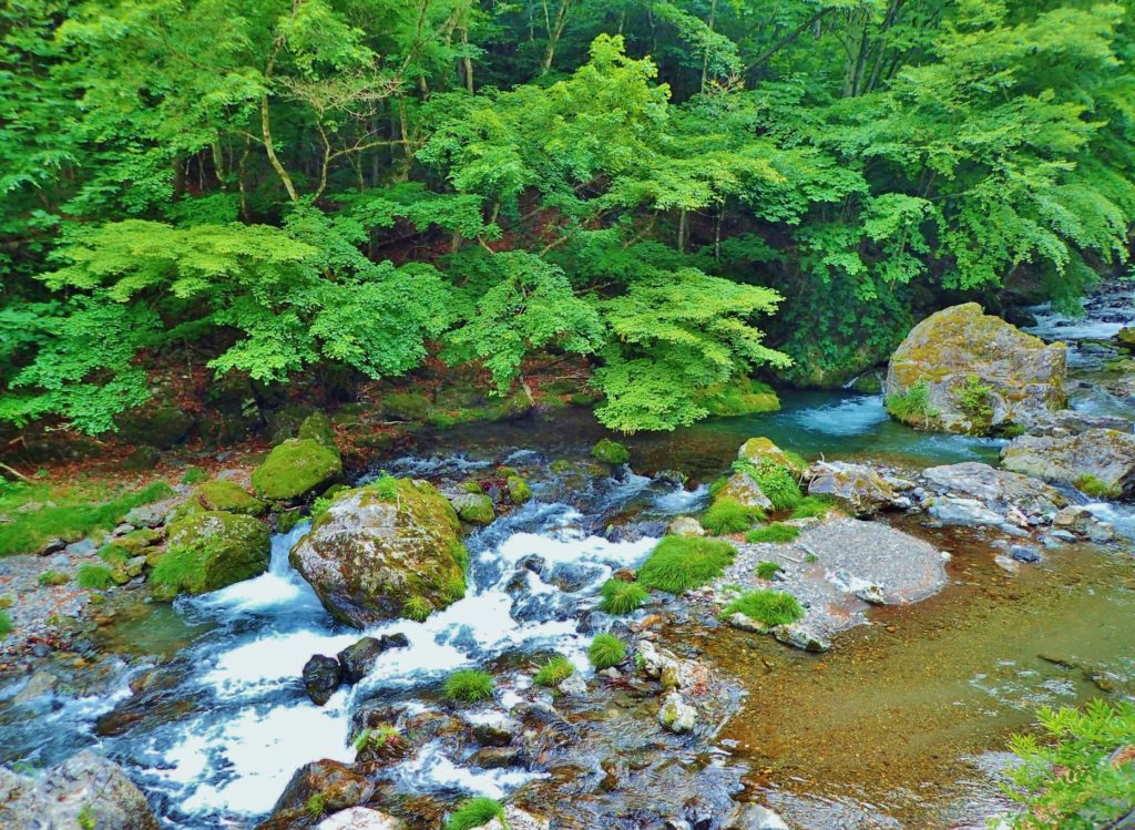 上野村漁業協同組合 毛ばり釣り専用区